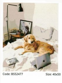 набір розпису по номерам домашній офіс розмір 40х50   BS52477 brushme Брашми