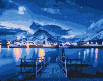 Розпис по номерах Полярне сяйво 40х50 BS52595