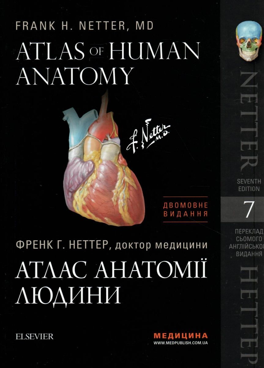 Атлас человека неттер. Фрэнк Неттер атлас анатомии. Атлас анатомии человека Фрэнк Неттер 7 издание. Атлас анатомии человека Фрэнк Неттер 4 издание. Книга Фрэнк Неттер атлас анатомии человека.