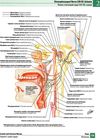 atlas of human anatomy = атлас анатомії людини переклад 7 англійського видання книга  куп Ціна (цена) 1 490.80грн. | придбати  купити (купить) atlas of human anatomy = атлас анатомії людини переклад 7 англійського видання книга  куп доставка по Украине, купить книгу, детские игрушки, компакт диски 20