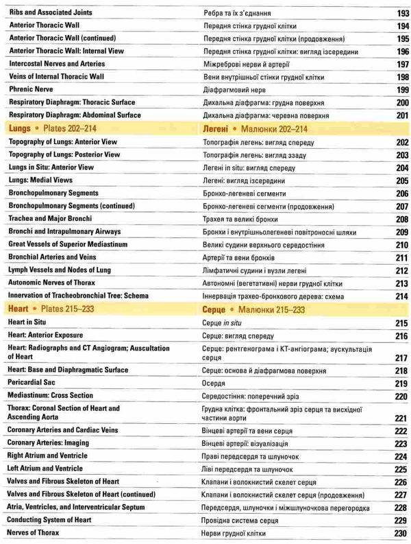 atlas of human anatomy = атлас анатомії людини переклад 7 англійського видання книга  куп Ціна (цена) 1 490.80грн. | придбати  купити (купить) atlas of human anatomy = атлас анатомії людини переклад 7 англійського видання книга  куп доставка по Украине, купить книгу, детские игрушки, компакт диски 8