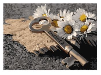 Розпис по номерах 40х50 12127-АС Відкрий мрію "Art Craft" арт крафт