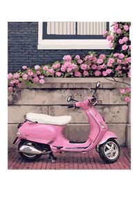 Розпис по номерах 40х50 10530-АС Місто троянд Нормандія "Art Craft" арт крафт