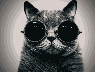 Розпис по номерах 40х50 11607-АС Кіт Морфеус "Art Craft" арт крафт