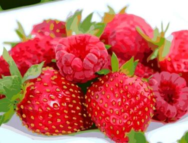 Розпис по номерах 40х50 12004-АС Соковитий феєрверк "Art Craft" арт крафт