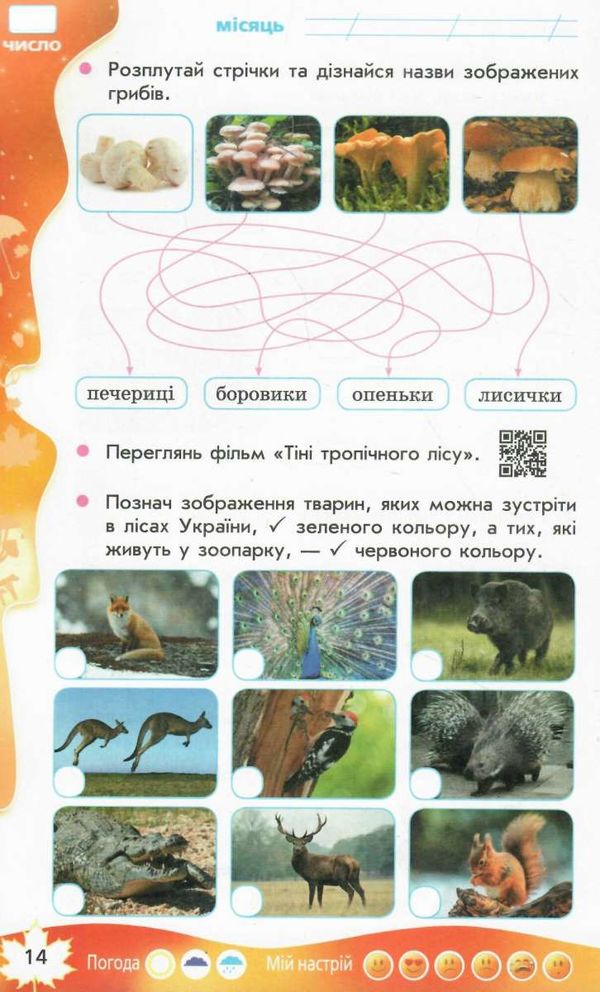 суперові канікули 1 клас зима + осінь весна Ціна (цена) 56.25грн. | придбати  купити (купить) суперові канікули 1 клас зима + осінь весна доставка по Украине, купить книгу, детские игрушки, компакт диски 3