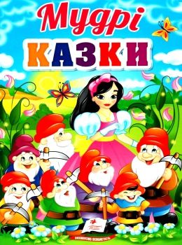 мудрі казки серія перші знання малюка картонка Ціна (цена) 87.75грн. | придбати  купити (купить) мудрі казки серія перші знання малюка картонка доставка по Украине, купить книгу, детские игрушки, компакт диски 0