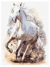 Розпис по номерах 30х40 КНО4259 Витончена міць "Ідейка"