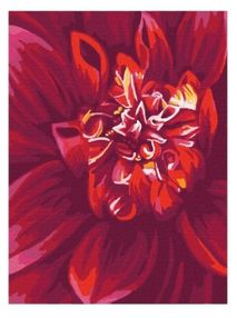 Розпис по номерах 40х50 КНО2092 Яскравий георгин "Ідейка"