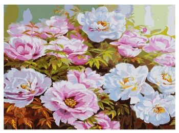 Розпис по номерах 50х50 КНО3193 Розмаїття півоній "Ідейка"