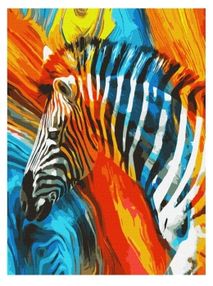 Розпис по номерах 50х50 КНО4269 Кольорова зебра "Ідейка"