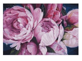 Розпис по номерах 50х65 КНО13116 Ніжність півоній "Ідейка"