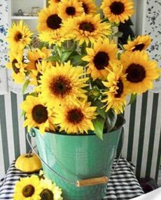 Алмазна мозаїка 30х40 HEG86894 Соняхи у відрі "Strateg"