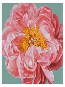 Розпис по номерах 40х40 КНО2952 Pink kiss "Ідейка"