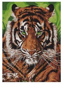 Розпис по номерах 40х50 КНО4143 Непереможний тигр "Ідейка"