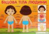 плакат будова тіла людини Ціна (цена) 17.80грн. | придбати  купити (купить) плакат будова тіла людини доставка по Украине, купить книгу, детские игрушки, компакт диски 0