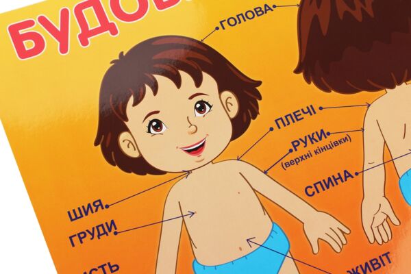 плакат будова тіла людини Ціна (цена) 17.80грн. | придбати  купити (купить) плакат будова тіла людини доставка по Украине, купить книгу, детские игрушки, компакт диски 1