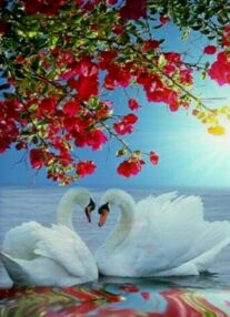 Алмазна мозаїка 50х65 SGK86071 Лебедина вірність "Strateg"