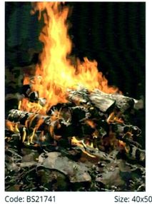 Розпис по номерах 40х50 BS21741 Багаття brushme Брашми