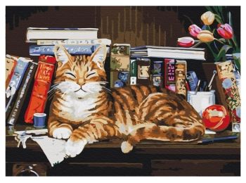 Розпис по номерах 40х50 BS4142 Кіт на книжковій полиці brushme Брашми