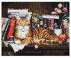 Розпис по номерах 40х50 BS4142 Кіт на книжковій полиці brushme Брашми Ціна (цена) 171.40грн. | придбати  купити (купить) Розпис по номерах 40х50 BS4142 Кіт на книжковій полиці brushme Брашми доставка по Украине, купить книгу, детские игрушки, компакт диски 1