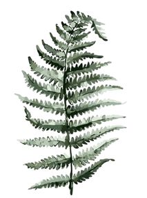 Розпис по номерах 40х50 GT61072 Лист папороті brushme Брашми