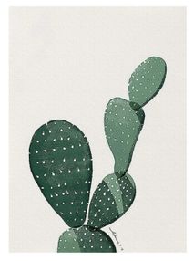 Розпис по номерах 40х50 GT61235 Кактус Мехіко brushme Брашми