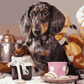 Розпис по номерах 40х40 КНО4273 Пухнастий кухар "Ідейка"