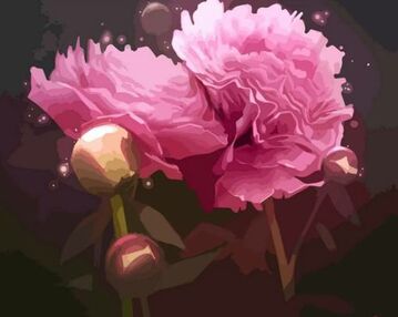 Розпис по номерах 40х50 12123-АС Магічні півонії "Art Craft" арт крафт