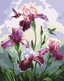 Розпис по номерах 40х50 КНО3220 Пісня літа "Ідейка"