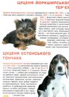 велика книжка цуценята Ціна (цена) 34.60грн. | придбати  купити (купить) велика книжка цуценята доставка по Украине, купить книгу, детские игрушки, компакт диски 1