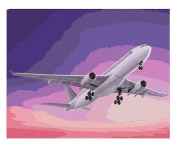 Розпис по номерах 40х50 BS52838 Літак в небі brushme Брашми