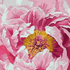 Розпис по номерах 40х40 КНО3211 Барвиста півонія "Ідейка"