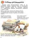 енциклопедія дошкільника собаки Ціна (цена) 54.94грн. | придбати  купити (купить) енциклопедія дошкільника собаки доставка по Украине, купить книгу, детские игрушки, компакт диски 2