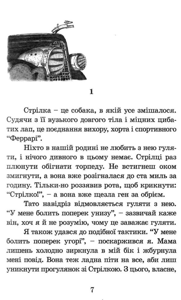 Ракета на чотирьох лапах Ціна (цена) 164.90грн. | придбати  купити (купить) Ракета на чотирьох лапах доставка по Украине, купить книгу, детские игрушки, компакт диски 2