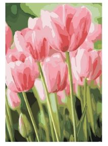 Розпис по номерах 35х50 КНО2069 Весняні тюльпани "Ідейка"