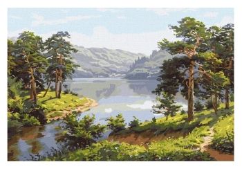 Розпис по номерах 40х50 КНО2851 Чаруючий ліс "Ідейка"