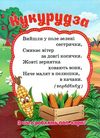 пазли для малят овочі книга Ціна (цена) 32.80грн. | придбати  купити (купить) пазли для малят овочі книга доставка по Украине, купить книгу, детские игрушки, компакт диски 1