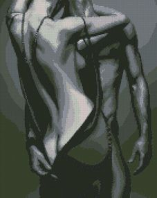 Алмазна мозаїка 40х50 АМО7027 Passion "Ідейка"