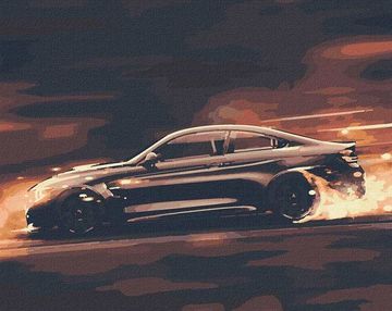 Розпис по номерах 40х50 КНО2521 Шалена швидкість "Ідейка"