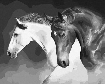 Розпис по номерах 40х50 КНО4276 Чорно-біла сила "Ідейка"