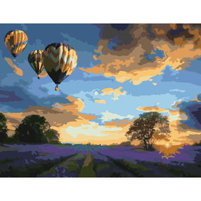 Розпис по номерах 40х50 G367 Політ на заході сонця brushme Брашми