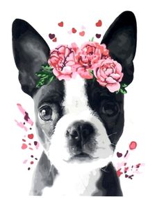 Розпис по номерах 40х50 GX26782 Бостон тер'єр у віночку brushme Брашми