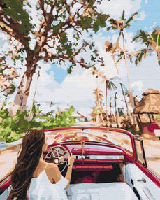 Розпис по номерах 40х50 BS24882 Вулицями Куби brushme Брашми