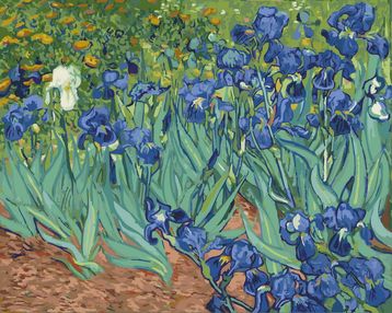 Розпис по номерах 40х50 GX4046 Іриси Ван Гог brushme Брашми