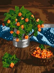 Розпис по номерах Царські ягоди 40х50 КНО5575