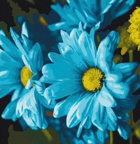 Розпис по номерах 40х40 13115-АС Ромашки "Art Craft" арт крафт