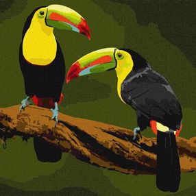 Розпис по номерах 40х40 КНО4337 Екзотичні птахи  "Ідейка"