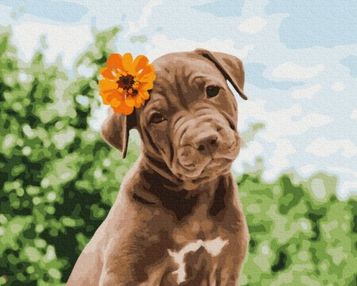 Розпис по номерах 40х50 GX37552 Собачка милий романтик brushme Брашми