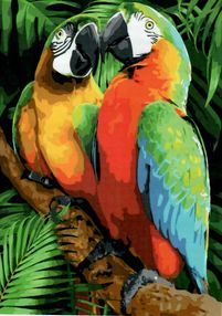 Розпис по номерах 40х50 GX40056 Пара папуг brushme Брашми